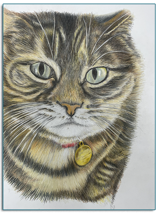 Green-Eyed Cat